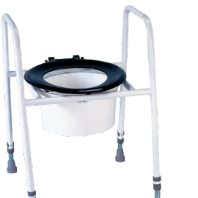 Raised Toilet Seat
