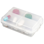 10 Compartment Travel Pill Box