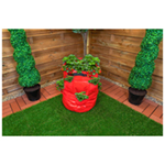St Helens Home and Garden Strawberry Grow Bag 43L