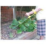 Ergonomic Long Handled Garden Hand Tools