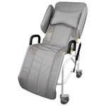 WASHINGTON TILT IN SPACE SHOWER CRADLE