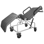 Washington Tilt in Space Shower Cradle